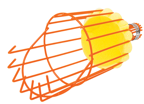 Recolector de fruta, sin mango